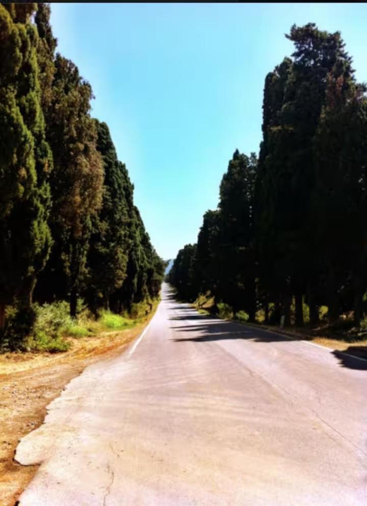 Poggio Ai Due Pini Country house